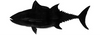 Tuna
