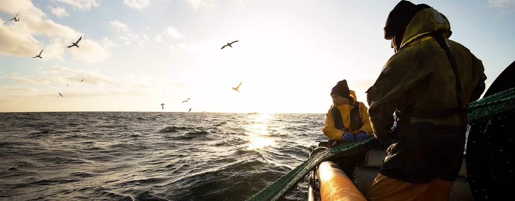 Sustainable fishing 