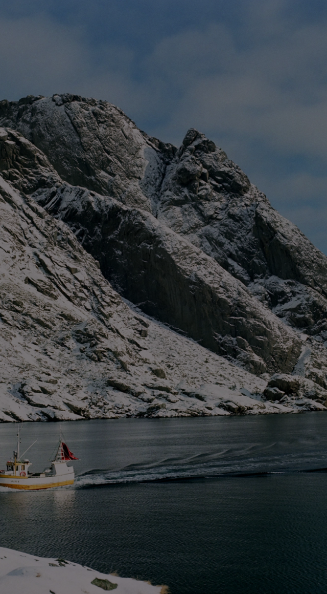 Alaska landscape