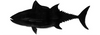 Tuna fish